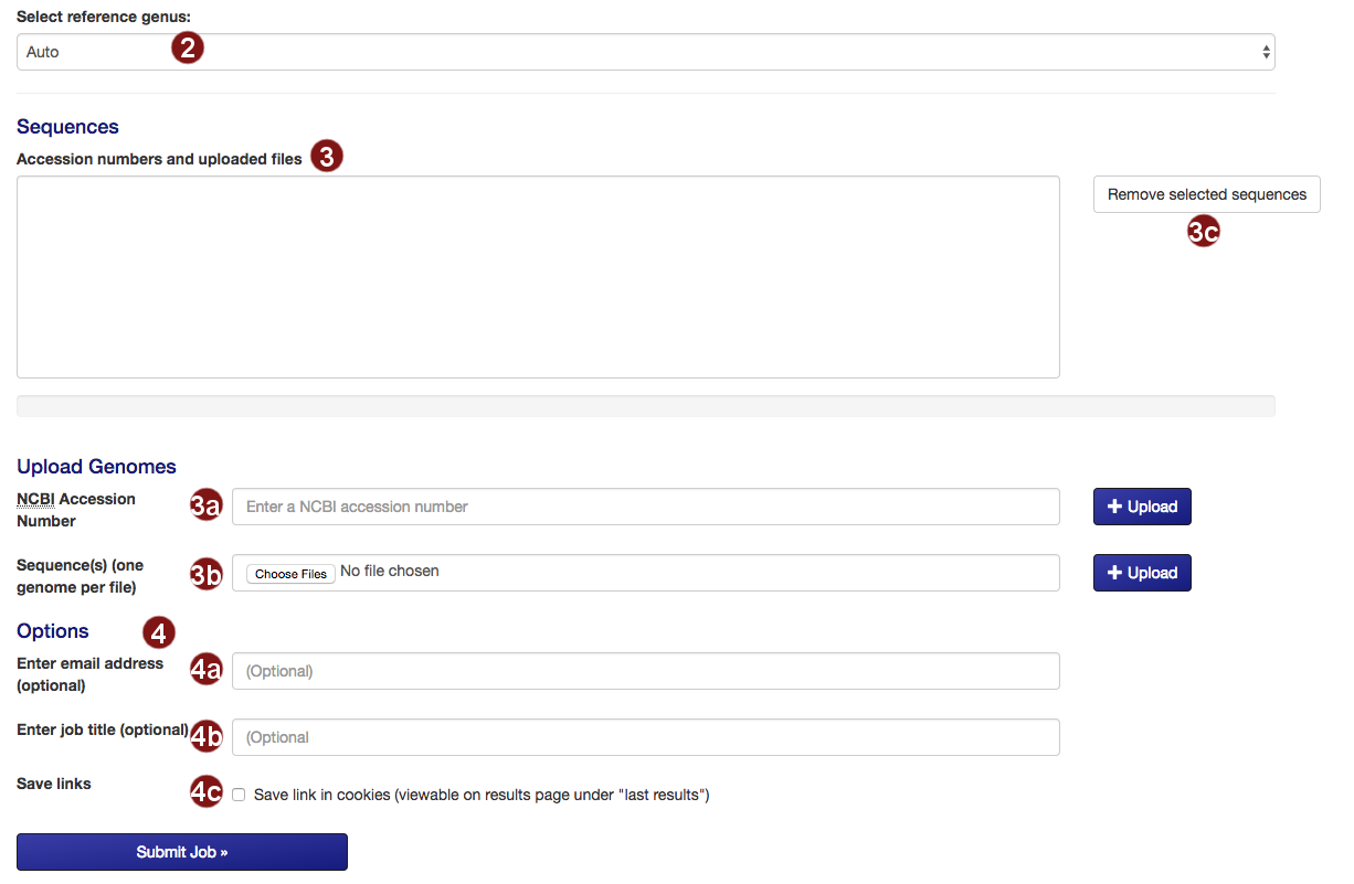 submission screen for the accelerated workflow