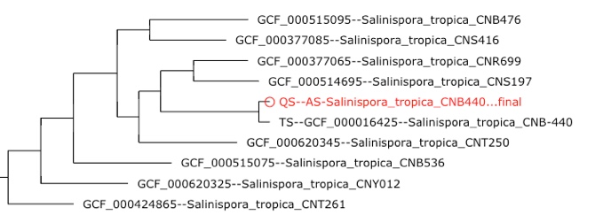 Example tree output